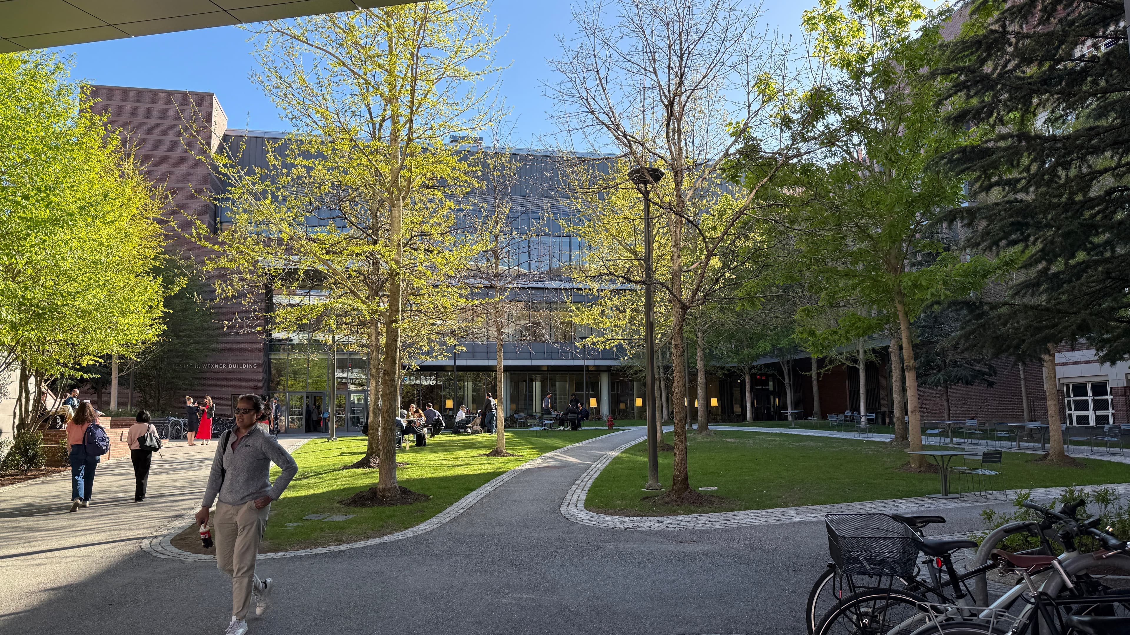 Beyond Policy and Code: What I Learned at Harvard's GovLab